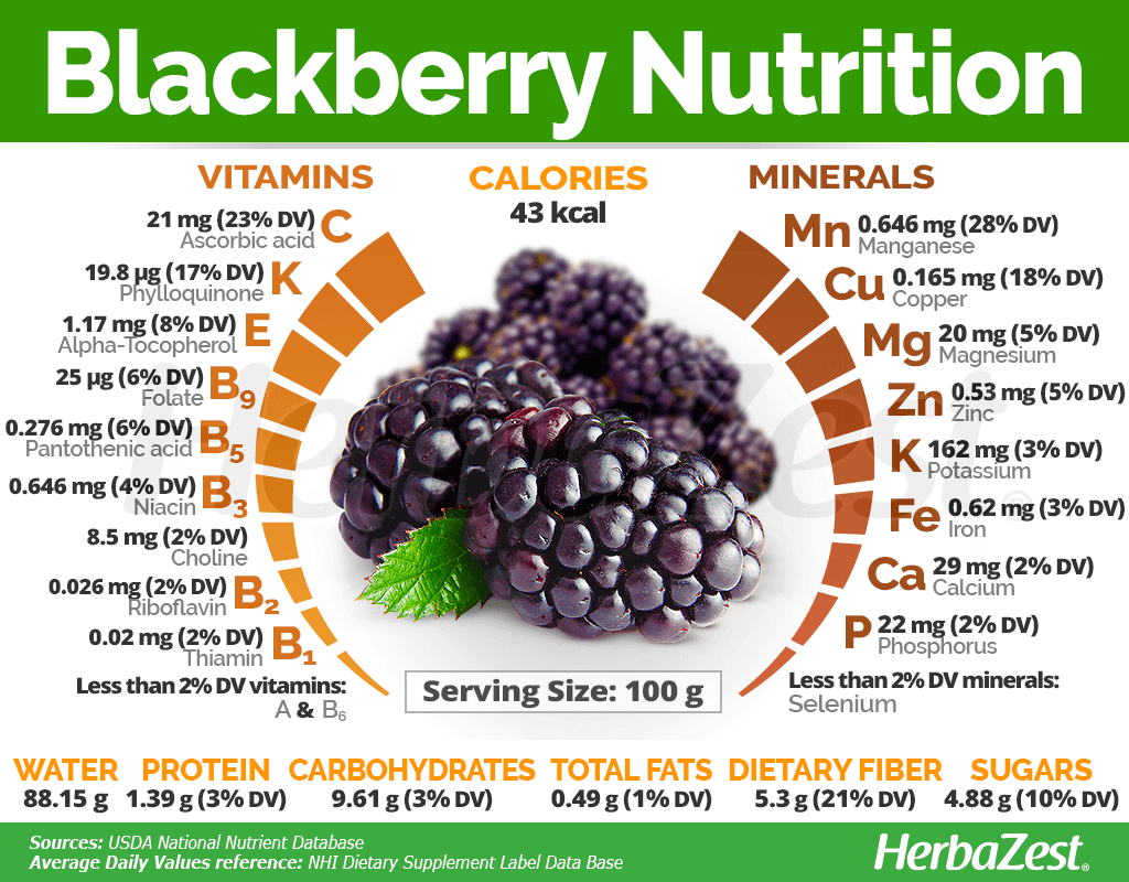 Boost Your Health and Flavor with Delicious Blackberries