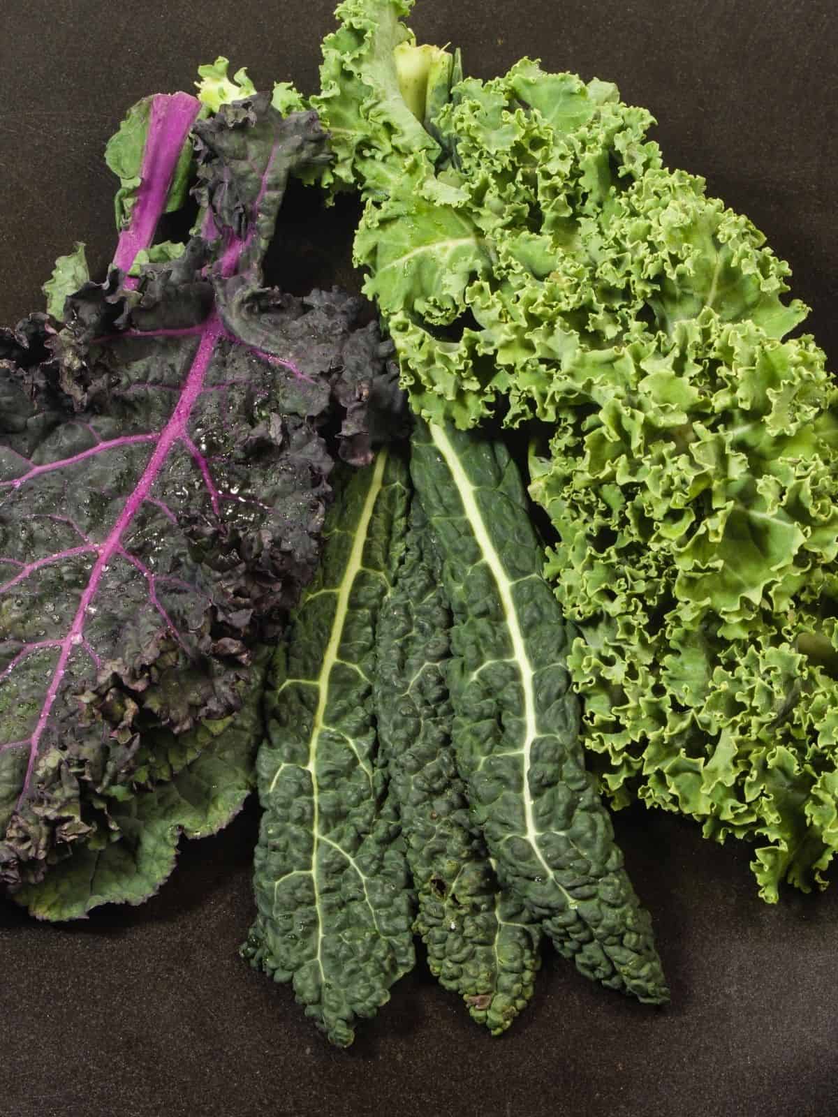 Unleash the Power of Kale: Exploring Different Varieties for Health and Flavor