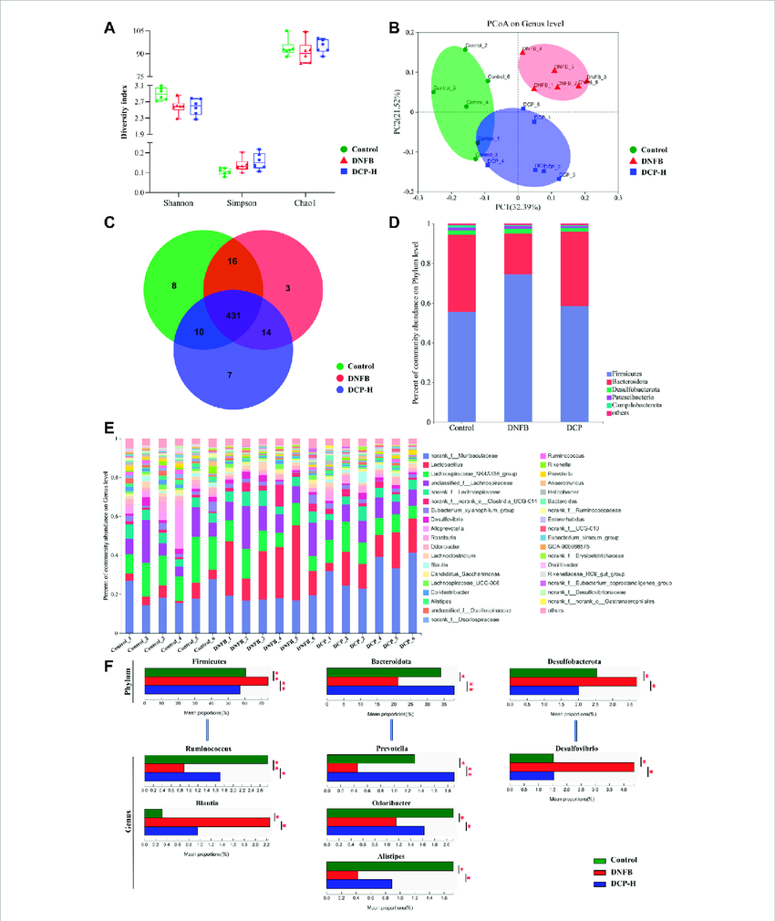 Unveiling the Gut-Brain Axis: How Gut Health Impacts Overall Well-Being