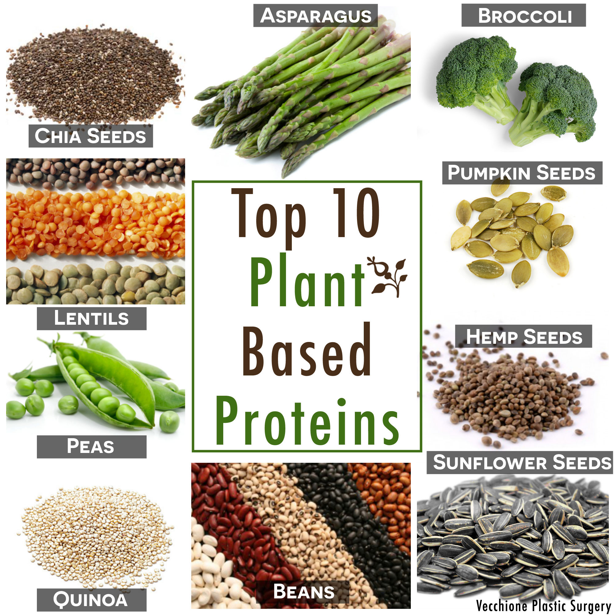 Power Up Your Plate: The Rise of Plant-Based Proteins for Health and Well-Being