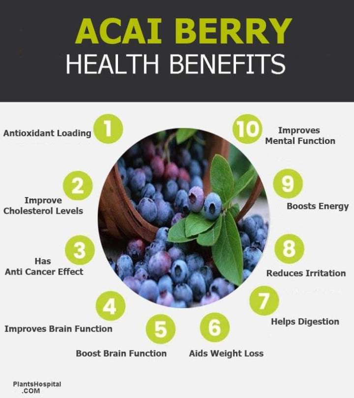 The Rise of Acai Berries: Superfood Benefits and Sustainable Practices
