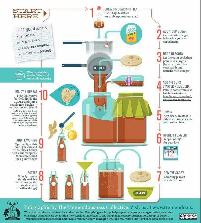 Unleash the Power of Kombucha: Techniques, Benefits, and Flavors to Elevate Your Brew Game