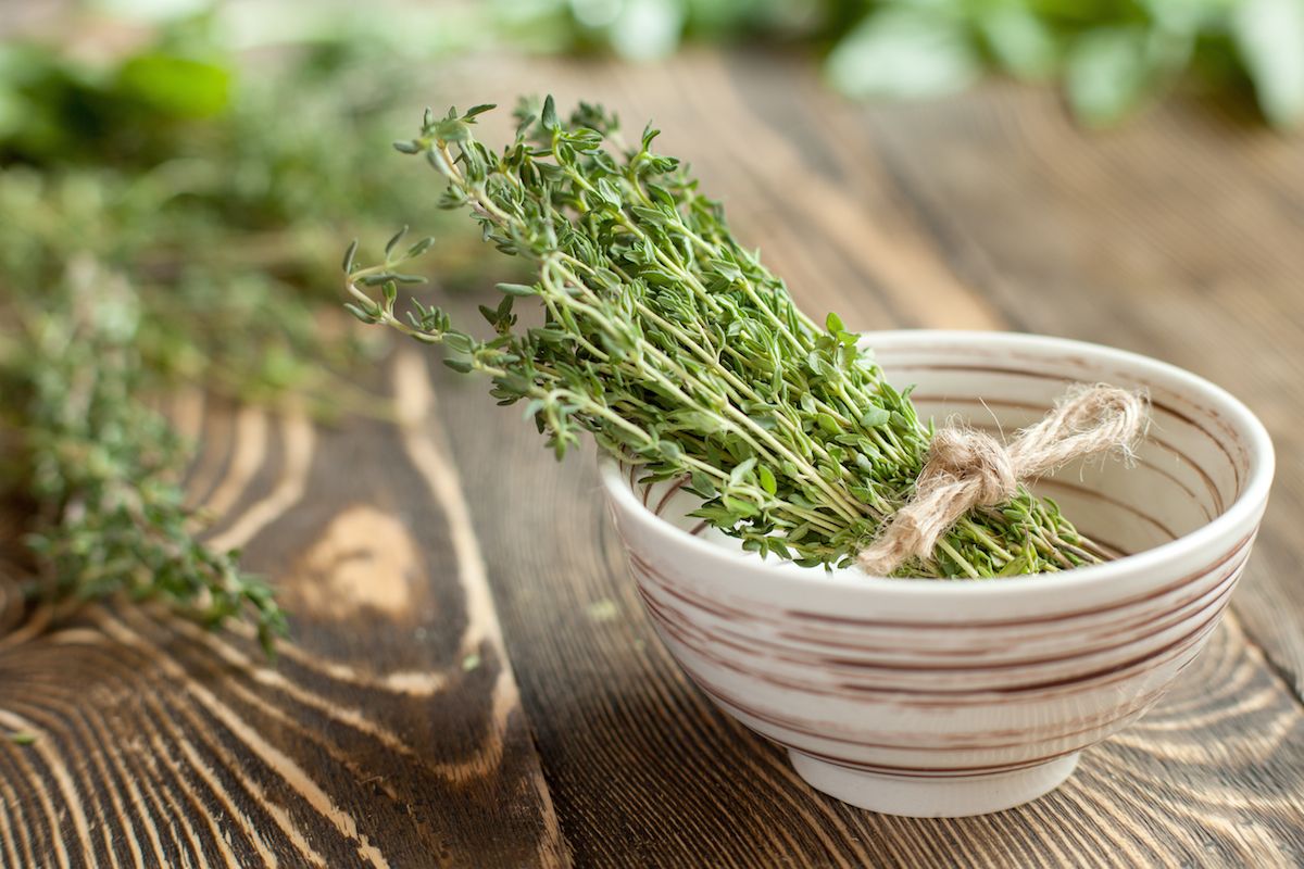 Thyme: A Flavorful Herb Packed with Health Benefits for Delicious Meals