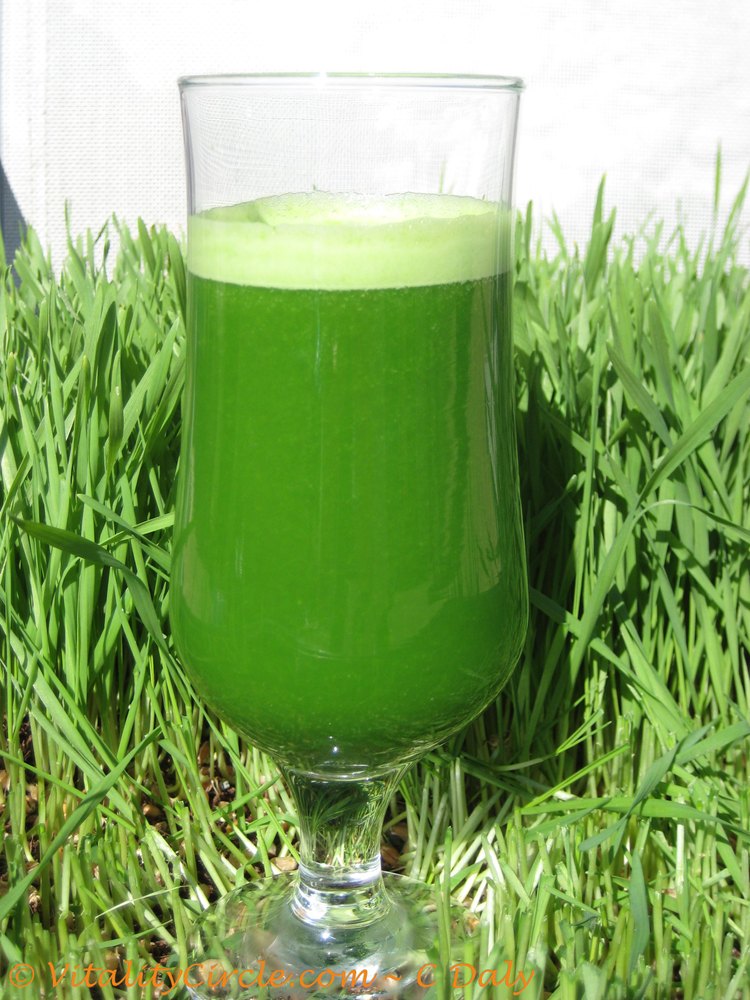 “Wheatgrass Juice Cleanse: The Ancient Detox Elixir for Modern Wellness”