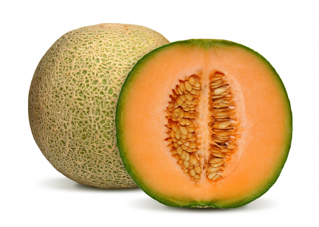 From California to India: The Diverse World of Cantaloupe Delights