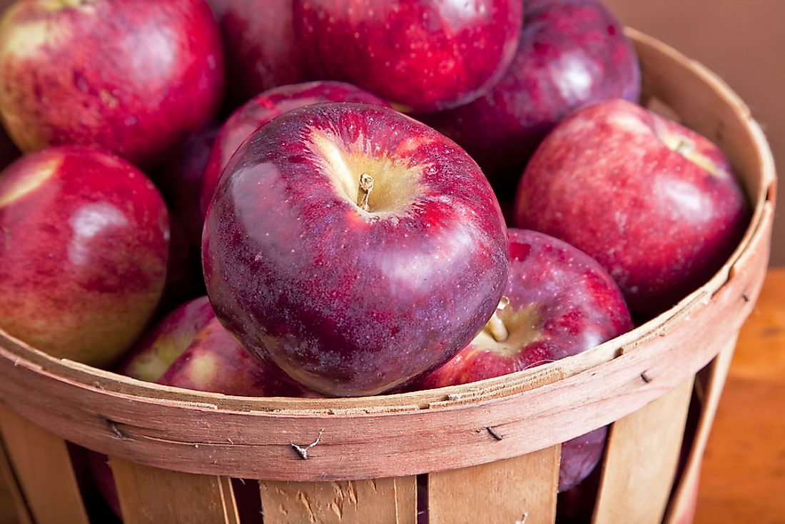 Exploring the World of Apples: Flavorful, Nutritious, and Versatile