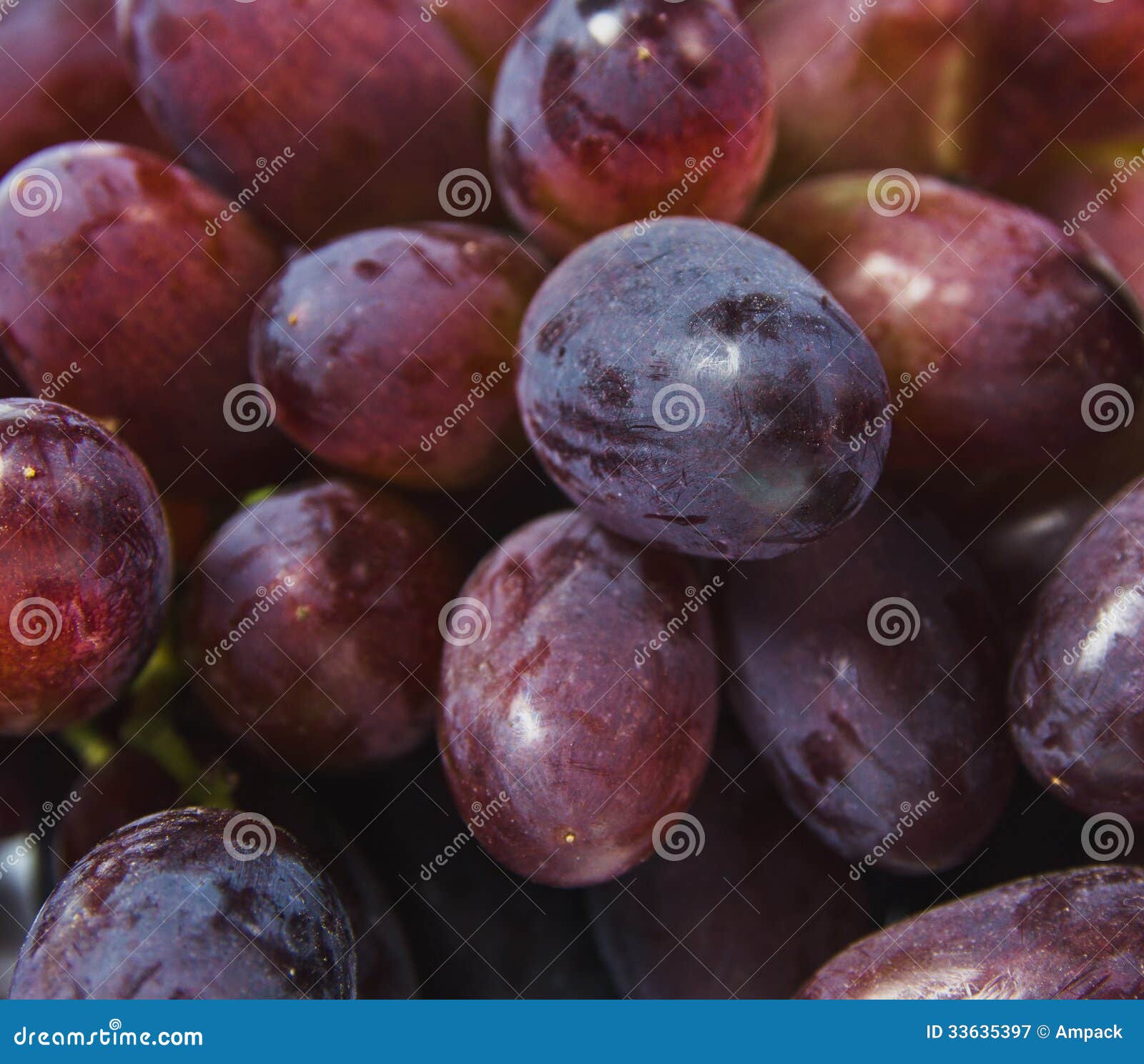 Unveiling the Grape’s Sweet Secrets: Health Benefits and Culinary Delights