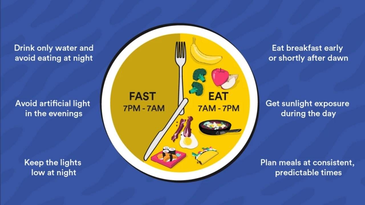Optimizing Health Through Mindful Eating: Harnessing the Power of Circadian Rhythms