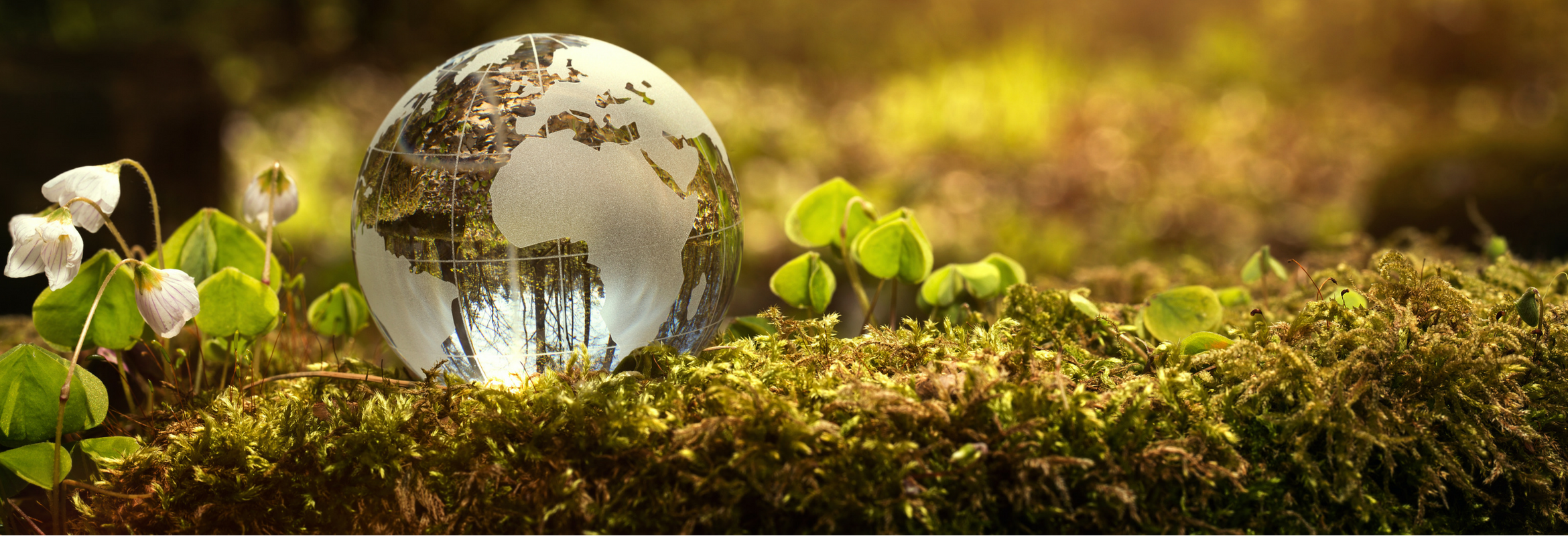 The Ultimate Guide to Clean Eating: Tips, Tricks, and Benefits for a Healthier You