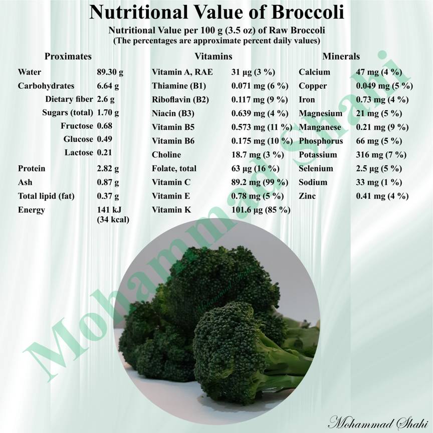 Broccoli: The Superfood You Need on Your Plate!